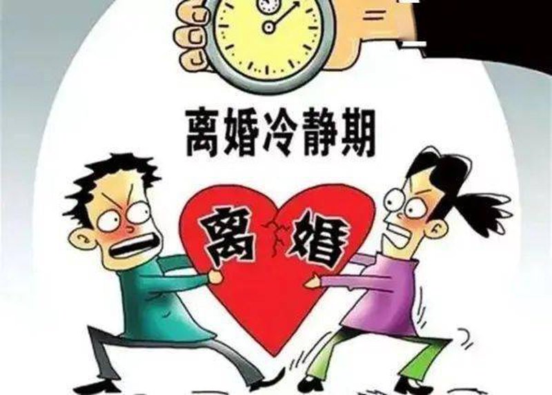 债务纠纷案件的行业观察